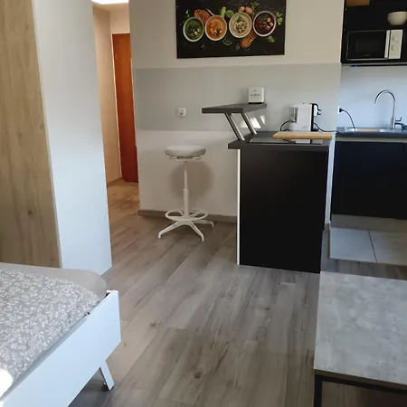 Apartma Dolgi Ljubljana